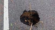 Assam: Massive sinkhole appears on newly renovated road in Nagaon, corruption allegations surface Assam: Massive sinkhole appears on newly renovated road in Nagaon, corruption allegations surface