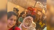 Customer alleges cockroach found in food at newly opened Dibrugarh commercial complex Customer alleges cockroach found in food at newly opened Dibrugarh commercial complex