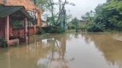Assam: Artificial floodwaters inundate schools and colleges in Ledo following heavy rainfall Assam: Artificial floodwaters inundate schools and colleges in Ledo following heavy rainfall