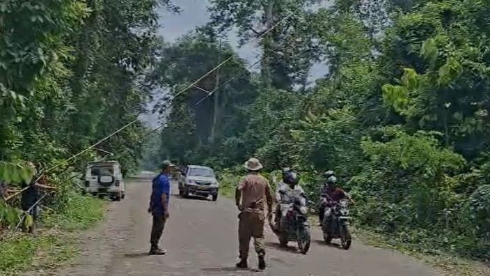 Canopy bridges installed to protect endangered Golden Langurs along Assam's Bismuri–Saralpara Road