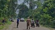 Canopy bridges installed to protect endangered Golden Langurs along Assam's Bismuri–Saralpara Road Canopy bridges installed to protect endangered Golden Langurs along Assam's Bismuri–Saralpara Road