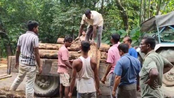 Assam: Dhubri forest department dismantles two illegal sawmills, seizes timber in char area raid
