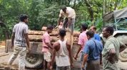 Assam: Dhubri forest department dismantles two illegal sawmills, seizes timber in char area raid Assam: Dhubri forest department dismantles two illegal sawmills, seizes timber in char area raid
