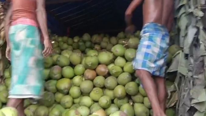Coconut-laden truck goes missing en route to Bihar from Assam's Batadrava; Fraud case registered