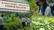 Assam: Botany students from Kaliabor college record first report of Salvia misella in northeast Assam: Botany students from Kaliabor college record first report of Salvia misella in northeast
