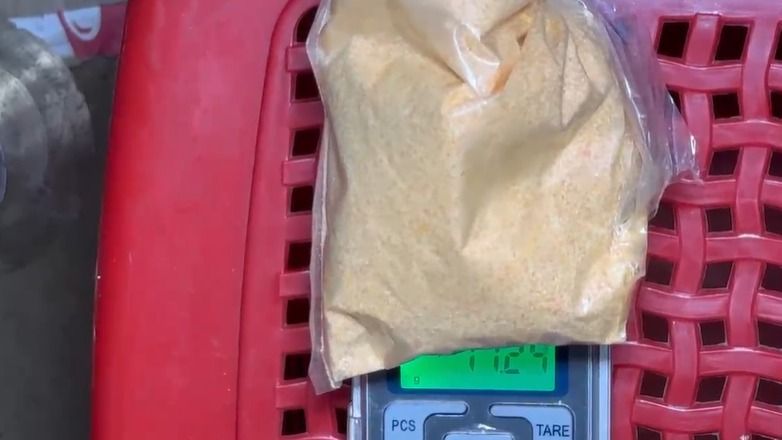 Woman held with 41.04 g of suspected drugs in Assam's Sivasagar; husband absconding