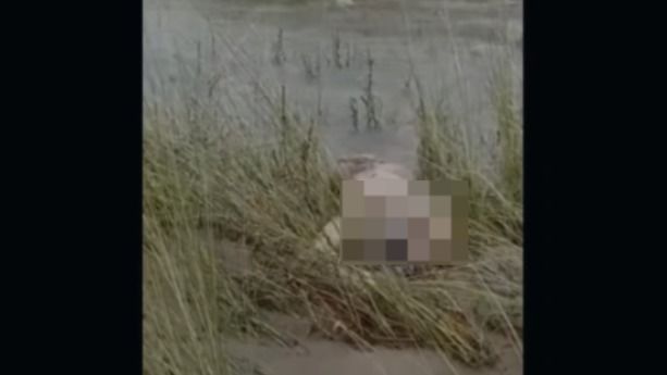Third body suspected to be cloudburst victim found in Arunachal river