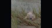 Third body suspected to be cloudburst victim found in Arunachal river Third body suspected to be cloudburst victim found in Arunachal river