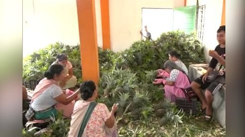 Meghalaya's women farmers drive global push for state's premium agro-products