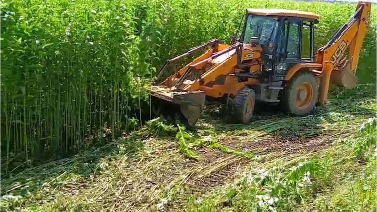 Massive eviction drive underway on encroached land inside Laokhowa Wildlife Sanctuary