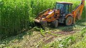 Massive eviction drive underway on encroached land inside Laokhowa Wildlife Sanctuary Massive eviction drive underway on encroached land inside Laokhowa Wildlife Sanctuary