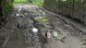 Ghost road, missing funds: Villagers allege Rs 6.5 lakh MGNREGA scam in Assam's Nagaon Ghost road, missing funds: Villagers allege Rs 6.5 lakh MGNREGA scam in Assam's Nagaon