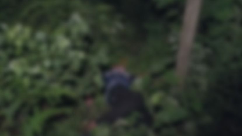 Unidentified body found near Assam's New Bongaigaon Railway Station