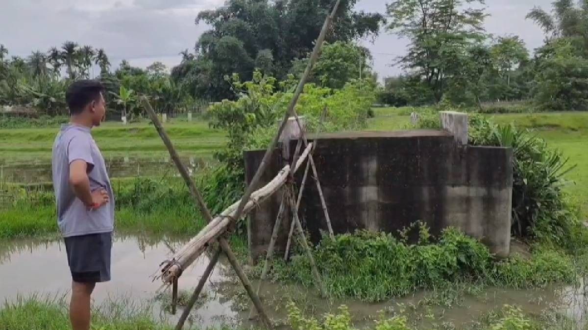 Bridge to nowhere: Washed out road leaves structure unusable in Assam's Bongaigaon