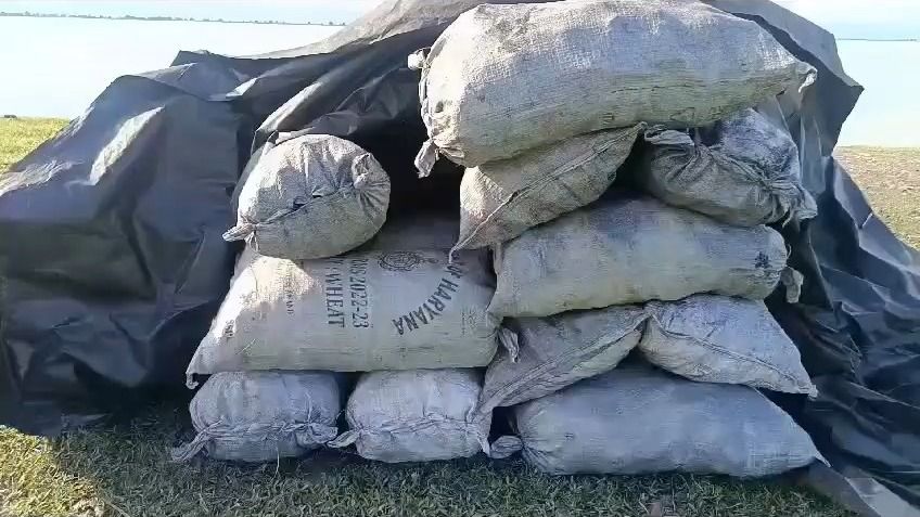 Illegal charcoal trade flourishes in Dibrugarh amid alleged large-scale forest destruction