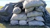 Illegal charcoal trade flourishes in Dibrugarh amid alleged large-scale forest destruction Illegal charcoal trade flourishes in Dibrugarh amid alleged large-scale forest destruction