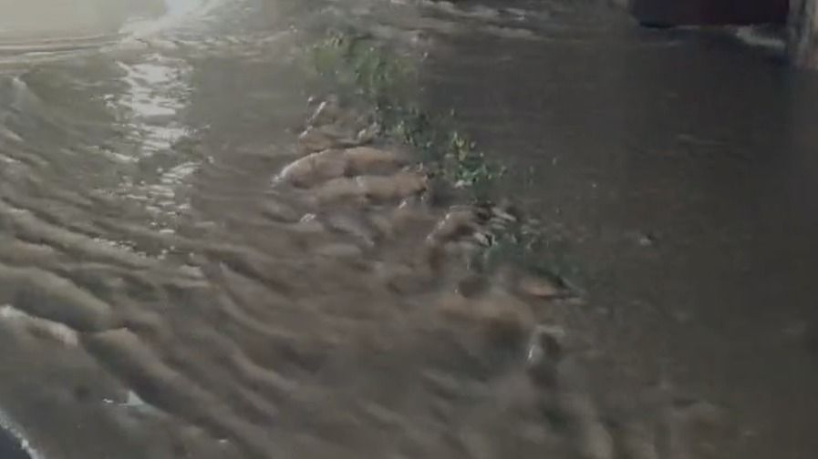 Bhogdoi River overflows into Assam's Jorhat Town, Massive Flooding Hits Borigaon