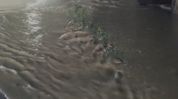 Bhogdoi River overflows into Assam's Jorhat Town, Massive Flooding Hits Borigaon Bhogdoi River overflows into Assam's Jorhat Town, Massive Flooding Hits Borigaon