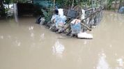 Assam floods: Over 2,800 people sheltered in 14 relief camps across Margherita Assam floods: Over 2,800 people sheltered in 14 relief camps across Margherita