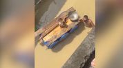 Assam flood crisis deepens, father ferries child in makeshift drum boat through neck-deep waters in Sivasagar Assam flood crisis deepens, father ferries child in makeshift drum boat through neck-deep waters in Sivasagar