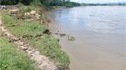 Assam's Buridehing erosion swallows thousands of bighas in historic long Tikak village; residents allege official apathy Assam's Buridehing erosion swallows thousands of bighas in historic long Tikak village; residents allege official apathy