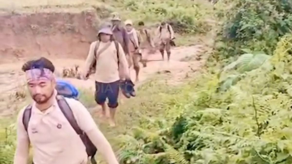 23 Assam forest officials lose contact during patrol near Nagaland border; search under way