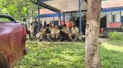 Assam: All 23 missing forest officials return safely after three days stranded in Dima Hasao forest Assam: All 23 missing forest officials return safely after three days stranded in Dima Hasao forest