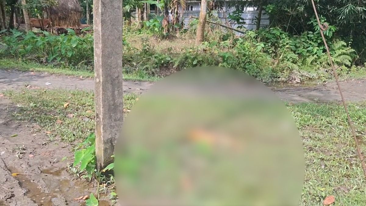 Golden langur electrocuted in Assam's Bongaigaon, locals threaten highway blockade