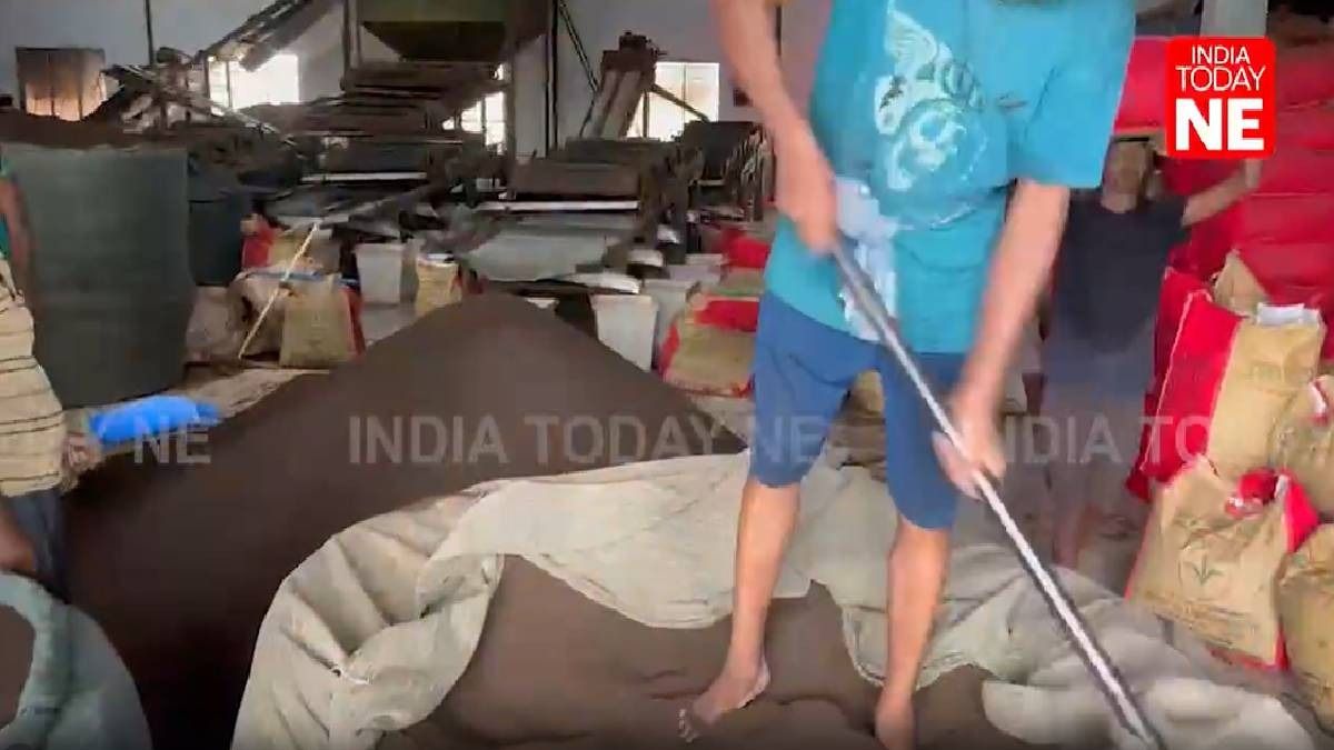 Assam tea factory faces outrage over alleged barefoot packing of tea leaves in Dibrugarh