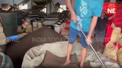 Assam tea factory faces outrage over alleged barefoot packing of tea leaves in Dibrugarh Assam tea factory faces outrage over alleged barefoot packing of tea leaves in Dibrugarh