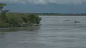 Assam: Fresh Brahmaputra erosion damages historic flood protection spur in Dibrugarh Assam: Fresh Brahmaputra erosion damages historic flood protection spur in Dibrugarh