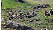 Fresh India-China standoff claims emerge in Arunachal, official confirmation awaited Fresh India-China standoff claims emerge in Arunachal, official confirmation awaited