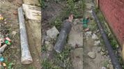 Assam: Tree branches used to secure water pipes in Tinsukia, activist seeks action Assam: Tree branches used to secure water pipes in Tinsukia, activist seeks action