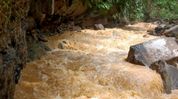 Manipur: Namtiram farmers seek urgent government intervention after dam, canal washed away Manipur: Namtiram farmers seek urgent government intervention after dam, canal washed away