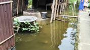 Artificial flooding hits 20 villages in Assam's Rupohihat as water channels blocked by alleged encroachments Artificial flooding hits 20 villages in Assam's Rupohihat as water channels blocked by alleged encroachments