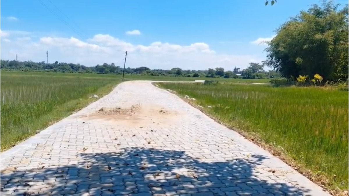 Assam: Cracks appear on road before completion, contractor accused of shoddy work in Tingkhong