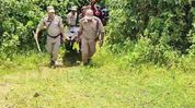 Missing BJP booth president found dead in Assam's Sribhumi, suspected accused injured in police firing Missing BJP booth president found dead in Assam's Sribhumi, suspected accused injured in police firing