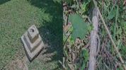 Assam: No flag hoisting at Boko Agriculture Office on Independence Day, raises questions Assam: No flag hoisting at Boko Agriculture Office on Independence Day, raises questions