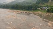 Subansiri river swells unusually in Arunachal's Upper Subansiri, timber spotted in waters Subansiri river swells unusually in Arunachal's Upper Subansiri, timber spotted in waters