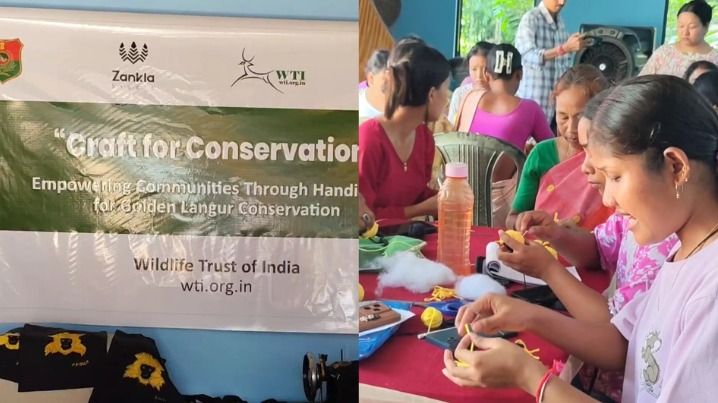 In Assam’s Kakoijana, women craft livelihoods while protecting golden langurs