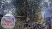 Assam’s Kaliabor villagers carry bamboo to Upper Assam to rebuild homes destroyed by floods Assam’s Kaliabor villagers carry bamboo to Upper Assam to rebuild homes destroyed by floods