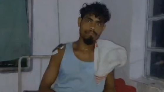 Leopard attack sparks fear among workers at Assam tea estate