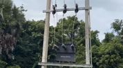 New transformer remains non-functional for three months in Assam’s Kaliabor New transformer remains non-functional for three months in Assam’s Kaliabor