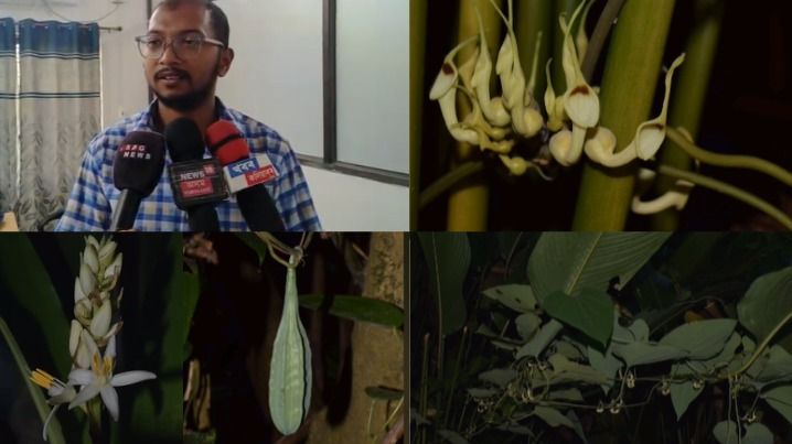 Assam botanist helps put 43 Northeast plant species on the scientific map