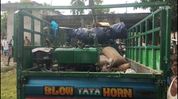 Assam: Nagaon Forest Department seizes equipment in illegal sand mining raid in Juria Assam: Nagaon Forest Department seizes equipment in illegal sand mining raid in Juria