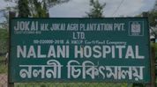 Poor roads, unsafe housing, no doctor: Tinsukia’s Nalini Tea Estate workers seek basic facilities Poor roads, unsafe housing, no doctor: Tinsukia’s Nalini Tea Estate workers seek basic facilities