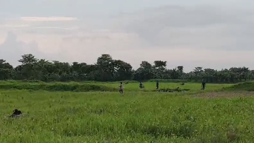 Assam: Illegal hunting of wild birds reported in Nagaon’s Bhakat Gaon