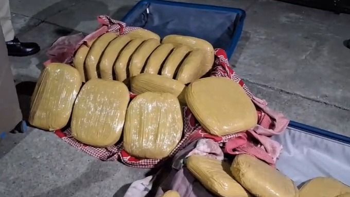 42.41 kg cannabis seized at New Bongaigaon railway station, one detained