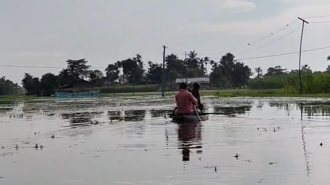 Floodwaters inundate villages in Assam's Rupahihat, crops damaged