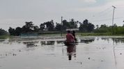Floodwaters inundate villages in Assam's Rupahihat, crops damaged Floodwaters inundate villages in Assam's Rupahihat, crops damaged